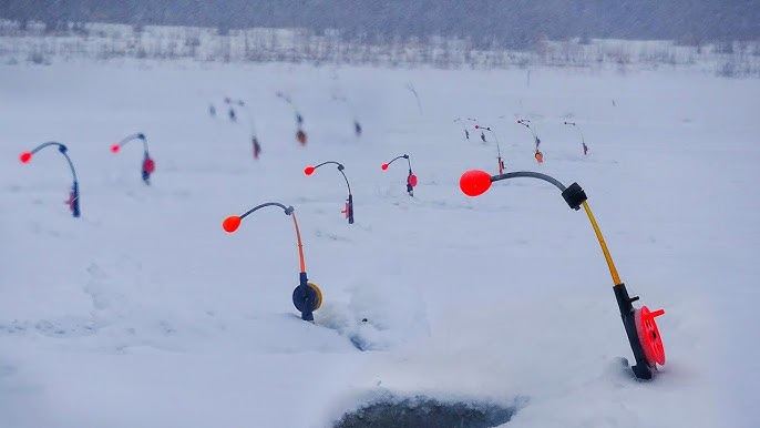 TOP Pesca de Invierno en Argentina por Región